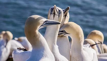 湖州最新的高价找中介取公积金违法吗方法分享(湖州中介取公积金怎么收费教程)