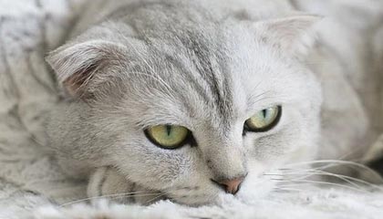 湖州最新的高价医保卡惠民保险代扣怎么取消掉了方法分享(湖州惠民医保怎么报销教程)