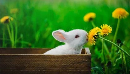 湖州最新的高价医保个人账户余额微信查询方法分享(湖州医保查询个人账户明细怎么查微信教程)